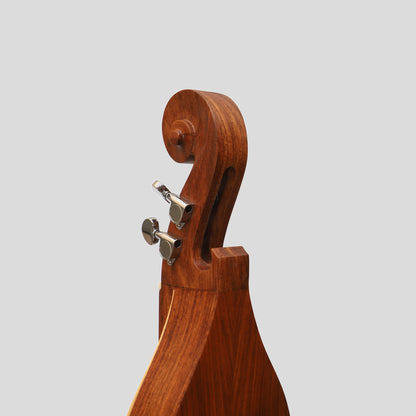 Mountain Dulcimer 4 corde F-Hole palissandro con finitura nichel