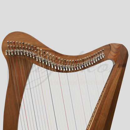 Muzikkon 36 String Ard Ri Harp Walnut