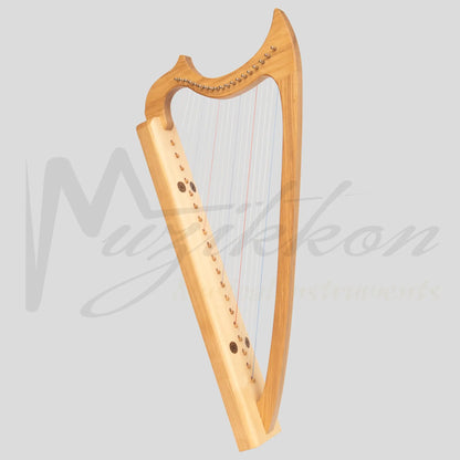 Muzikkon Gothic Harp 19 String Ashwood