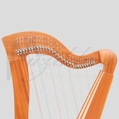 Muzikkon Mchugh Harp 29 Strings Square Back Mahogany