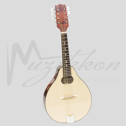 Muzikkon Modern Mandolin