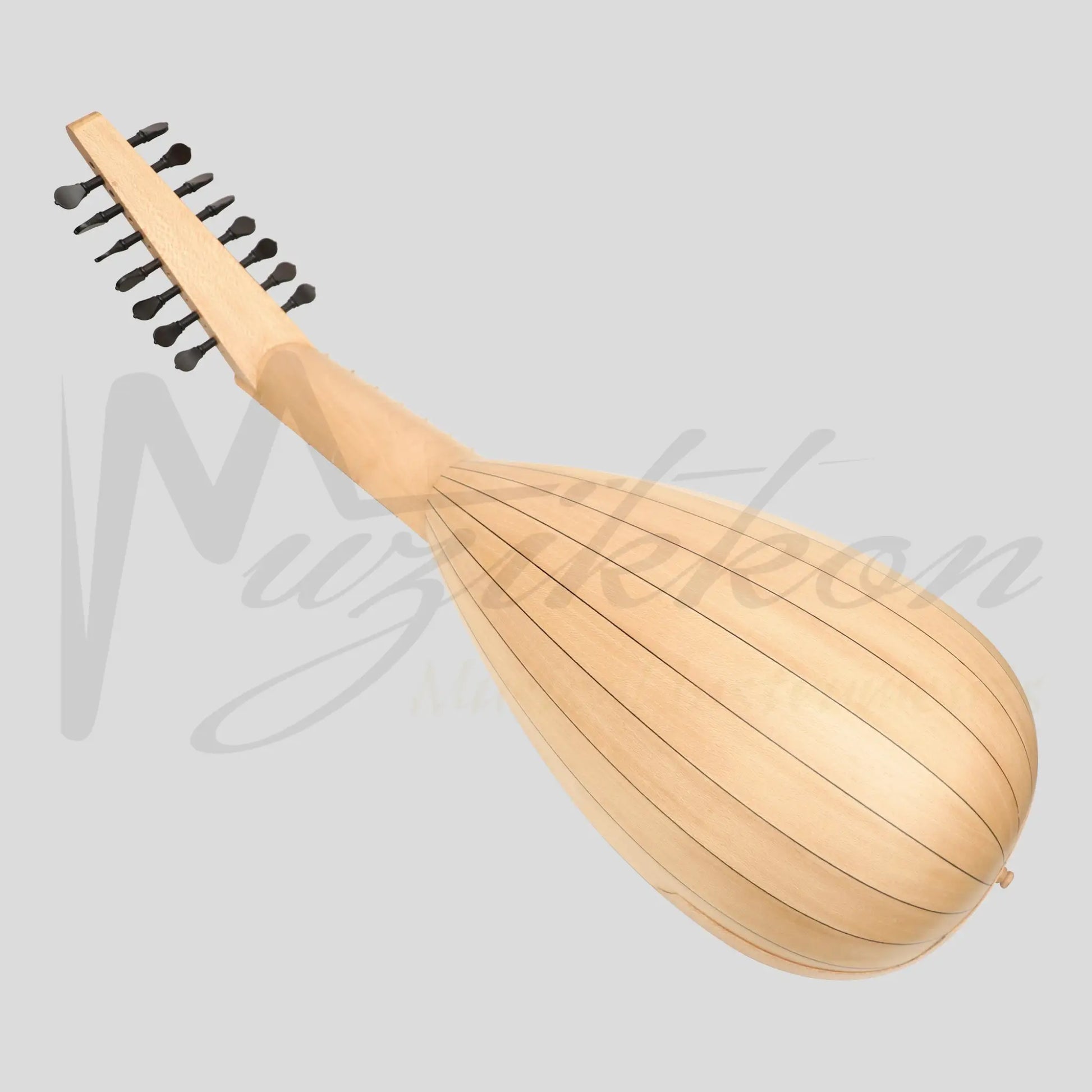 Muzikkon Travel Lute 8 Course Right Hand