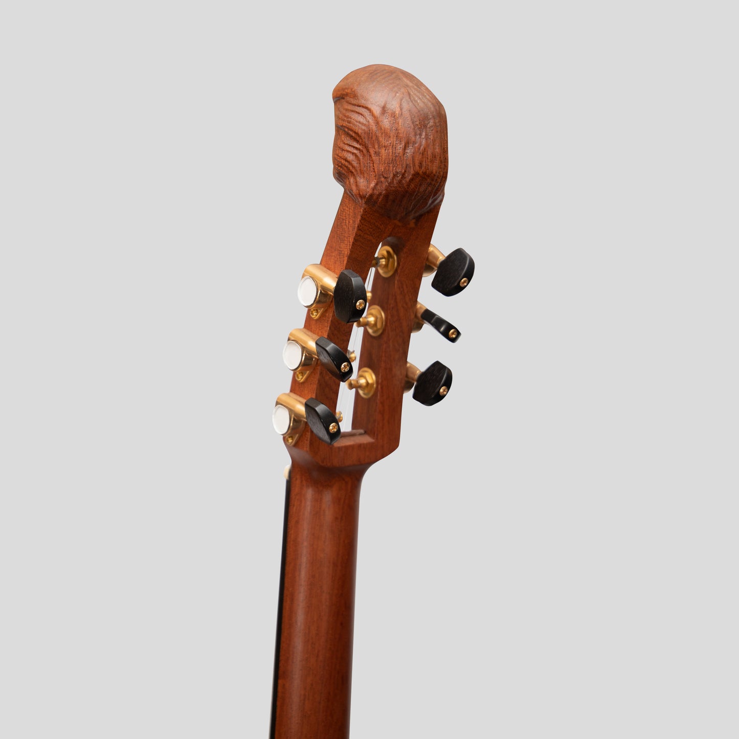 Muzikkon Liuto Guitar, 6 corde in acciaio Variegated Lacewood Palissandro Mancino