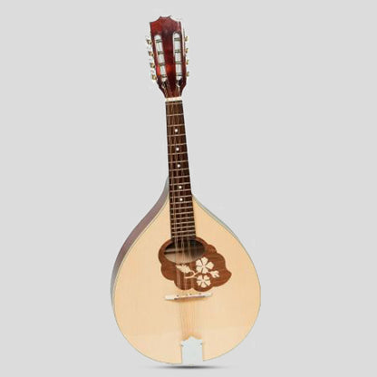 Muzikkon Mandola