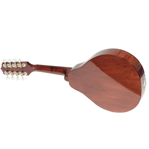 Muzikkon Moderne Mandoline