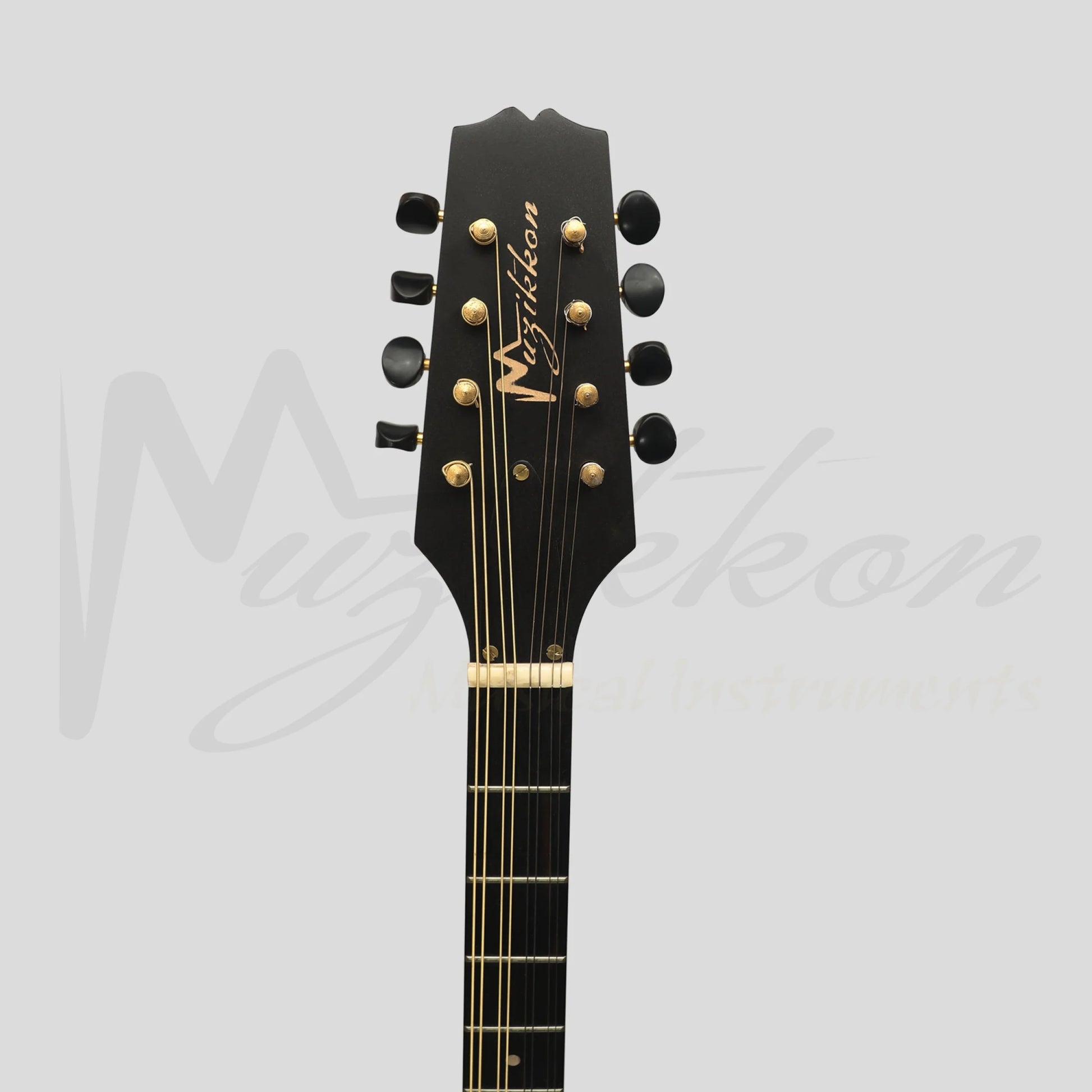 Traditional Irish Bouzouki 8 String